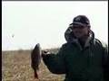 Видео Диалоги о рыбалке - Ловля линя. Нижняя Волга