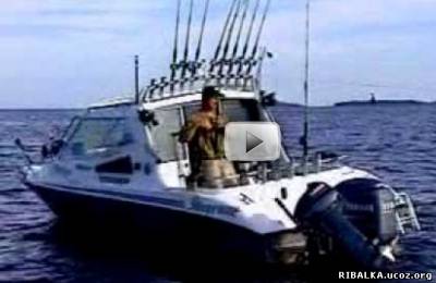 Диалоги о рыбалке - Троллинг на Ладоге