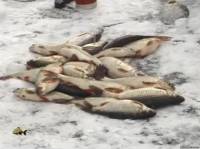 Видео Зимняя ловля крупной плотвы на мормышку