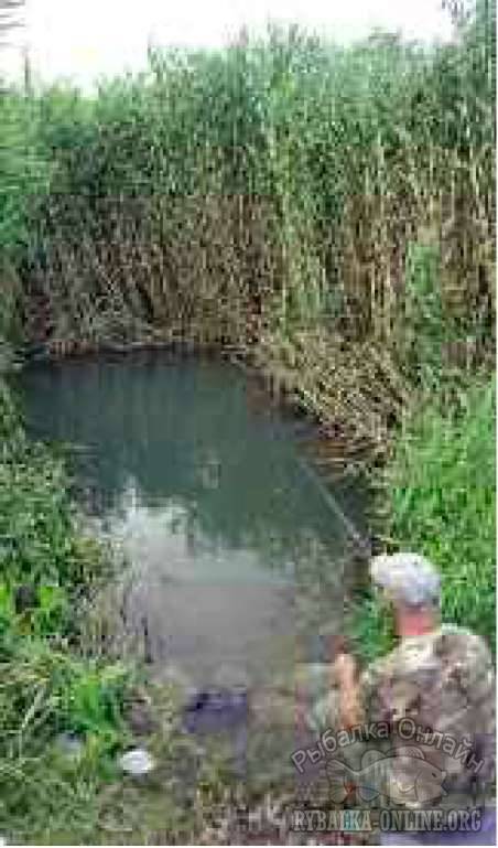 Рыбалка на болоте