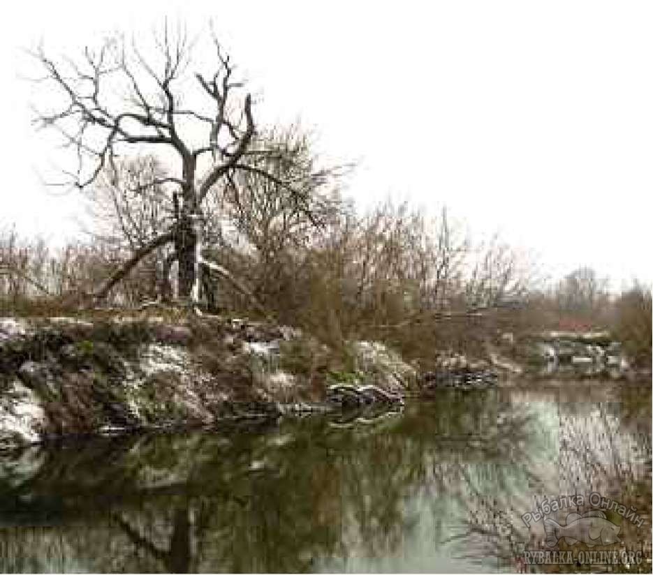 малая речка зимой