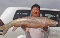 Статья Рыбалка на усача в Азии