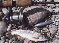 О рыбалке в Западной Сибири