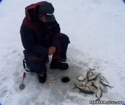 ловля леща на бурной ловля леща сверху бурной