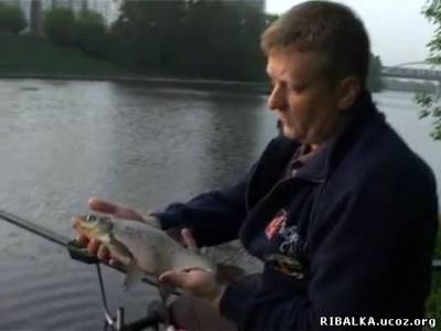 Рыбалка в Москве