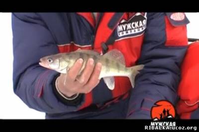Видео Зимняя рыбалка в Татарстане