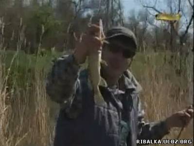 Видео Ловля щуки и окуня в Ростовской области