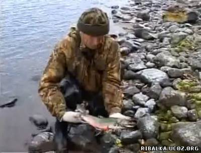 Видео Рыбалка на Камчатке