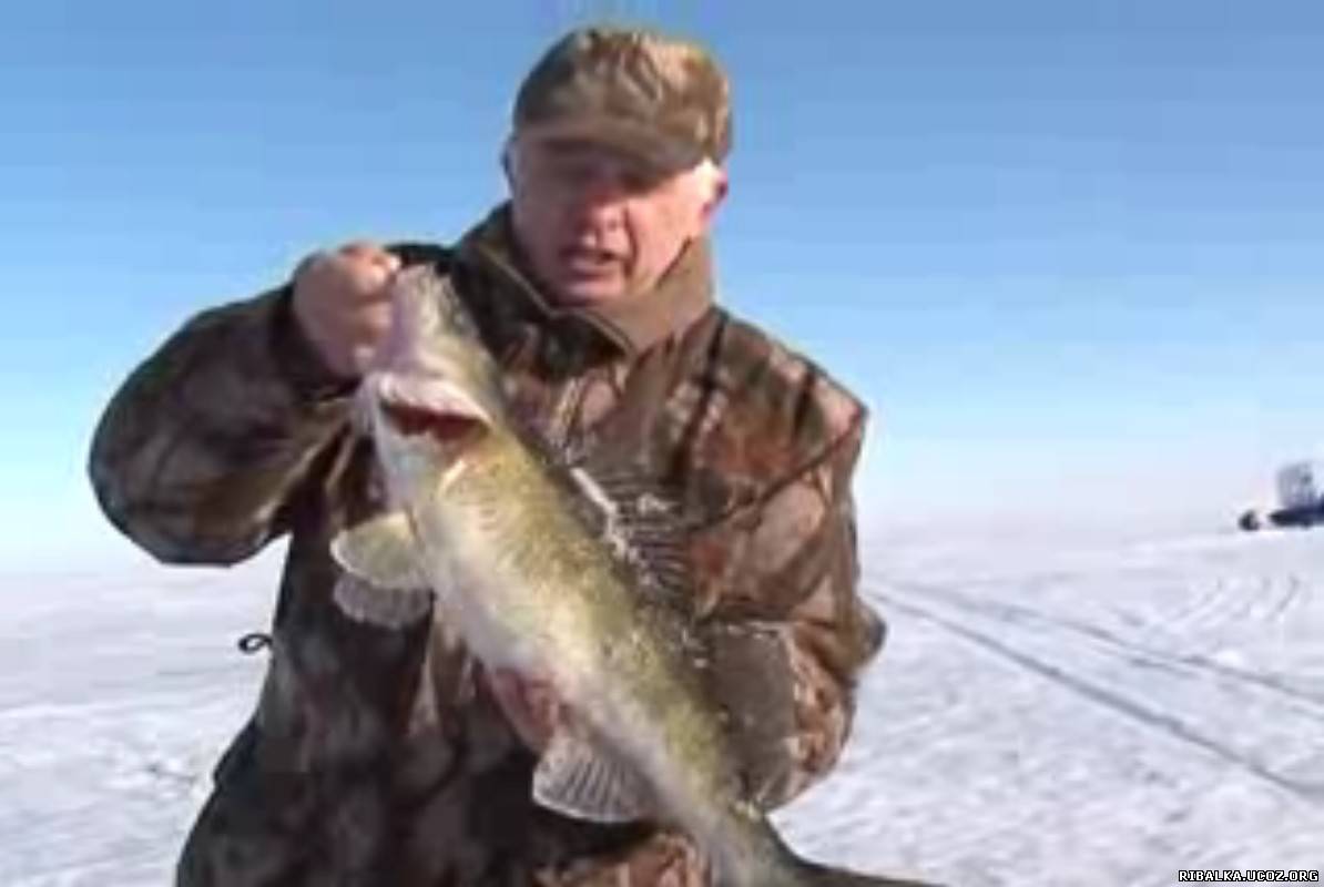 рыбалка средняя волга зимой видео