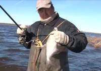 Видео Рыбачьте с нами апрель 2012 (Матч весной)