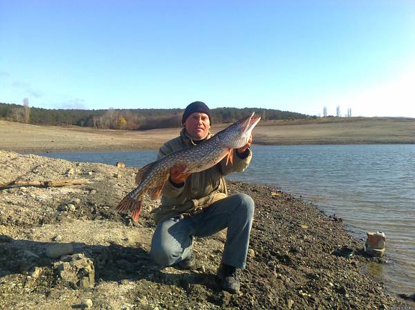 Фото щука 5.300