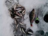 Фото Уловистая лунка на зимней рыбалке