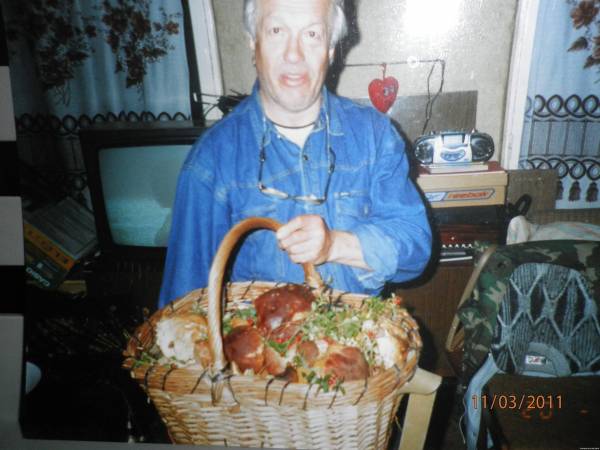 Фото Большая корзина грибов