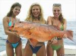 Фото Три девушки на морской рыбалке