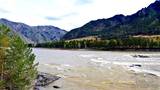 Фото Горная река Катунь в Горном Алтае в 4К.
