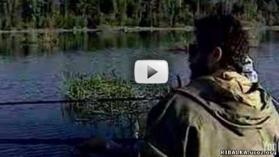 Видео Диалоги о рыбалке - ловля карася на Нарских прудах