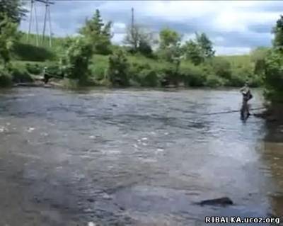 Видео Ловля головля на малых реках