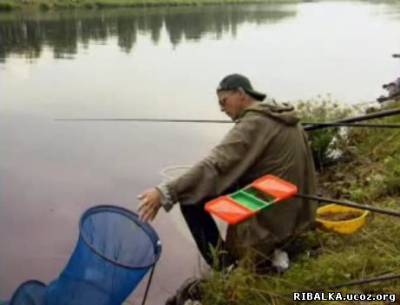 Рыбалка на канале им. Москвы