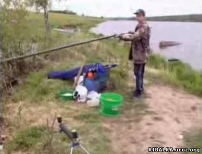 Видео Ловили карася, поймали плотву. Рыболовное хозяйство