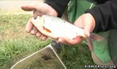 Видео Рыбалка на Северной Сосьве