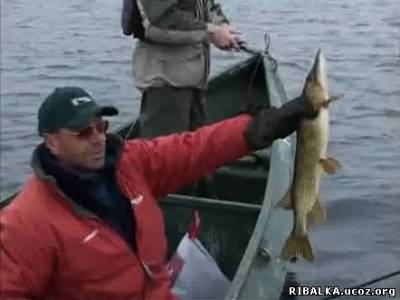 Видео Рыбалка в дельте Волги