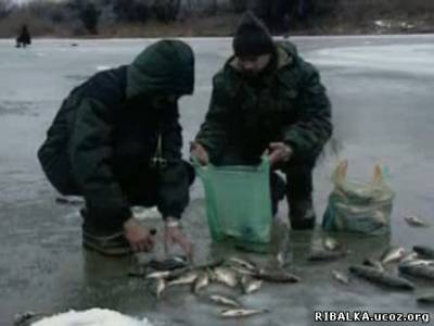 Видео Рыбалка зимой на Волге