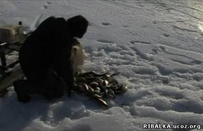 Рыбалка по последнему льду в Саратове