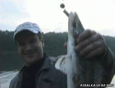 Видео Рыбалка в Воронеже
