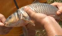 Видео Рыбалка в Ейске